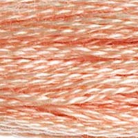 DMC Stranded Cotton Thread - Browns