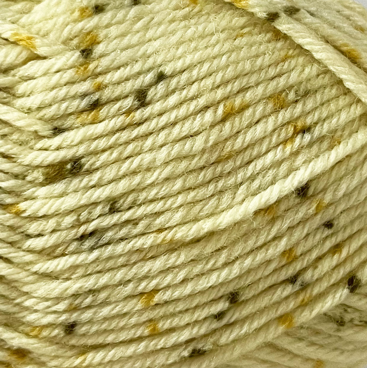 Naturally - Loyal Vegas Tweed - 8 Ply