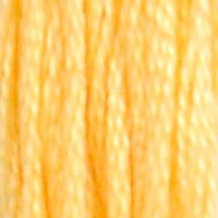 DMC Stranded Cotton Thread - Oranges