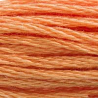 DMC Stranded Cotton Thread - Oranges