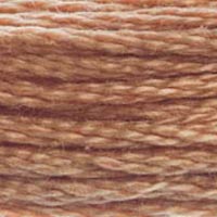 DMC Stranded Cotton Thread - Browns