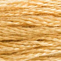 DMC Stranded Cotton Thread - Browns