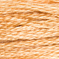 DMC Stranded Cotton Thread - Browns