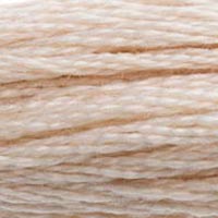 DMC Stranded Cotton Thread - Browns