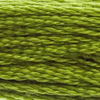 DMC Stranded Cotton Thread - Greens