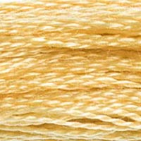 DMC Stranded Cotton Thread - Oranges