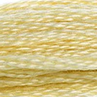 DMC Stranded Cotton Thread - Browns