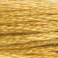 DMC Stranded Cotton Thread - Browns