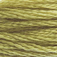 DMC Stranded Cotton Thread - Greens