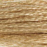 DMC Stranded Cotton Thread - Browns