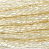 DMC Stranded Cotton Thread - Browns