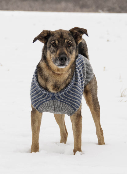 Blue Sky Pattern: Bird Island Dog Sweater