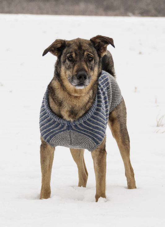 Blue Sky Pattern: Bird Island Dog Sweater