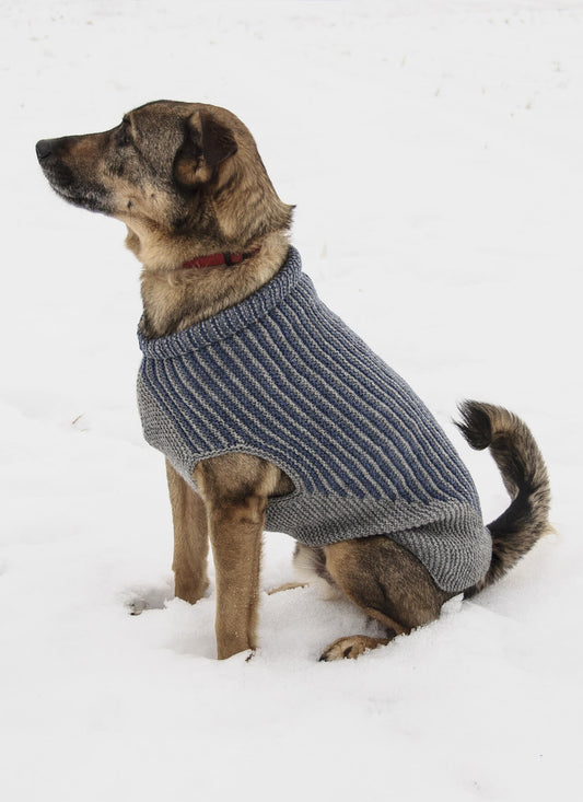 Blue Sky Pattern: Bird Island Dog Sweater