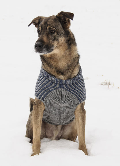 Blue Sky Pattern: Bird Island Dog Sweater